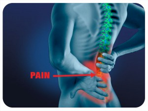Low back pain: see a chiropractor